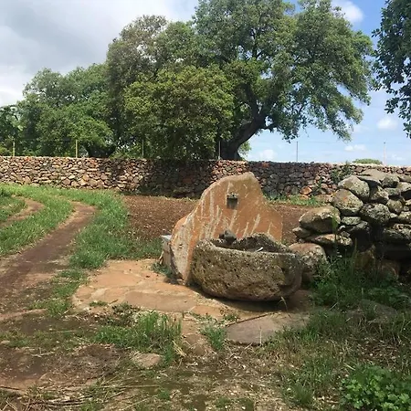 Pinnettu Дом отдыха Ghilarza