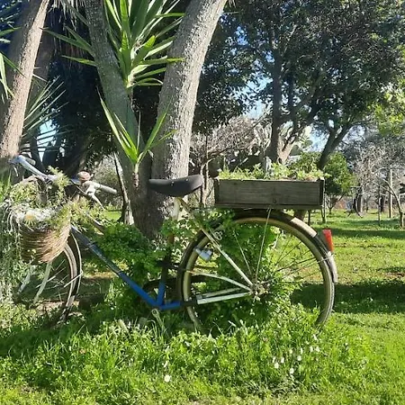 Casa vacanze Pinnettu *