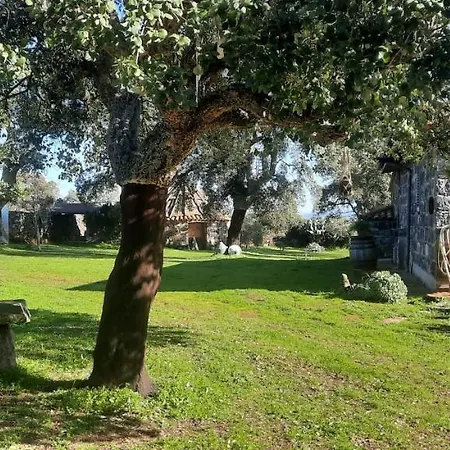 Pinnettu Casa vacanze Ghilarza