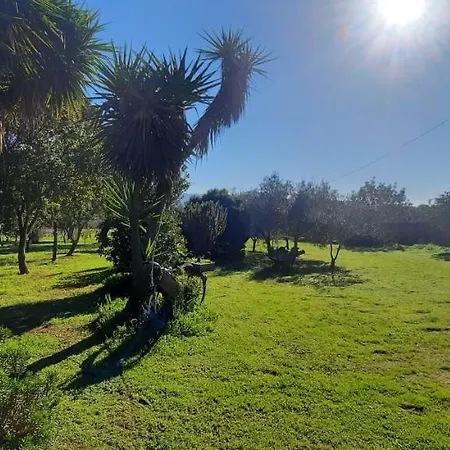 Casa vacanze Pinnettu *