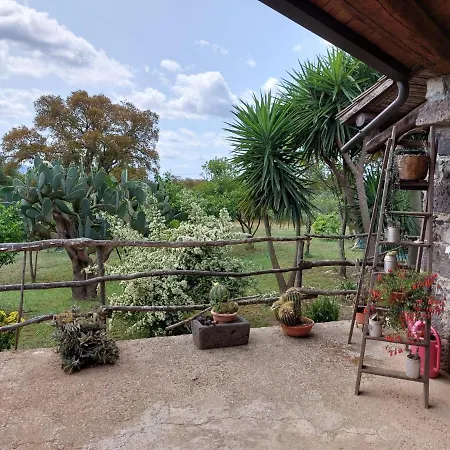 Casa vacanze Pinnettu *